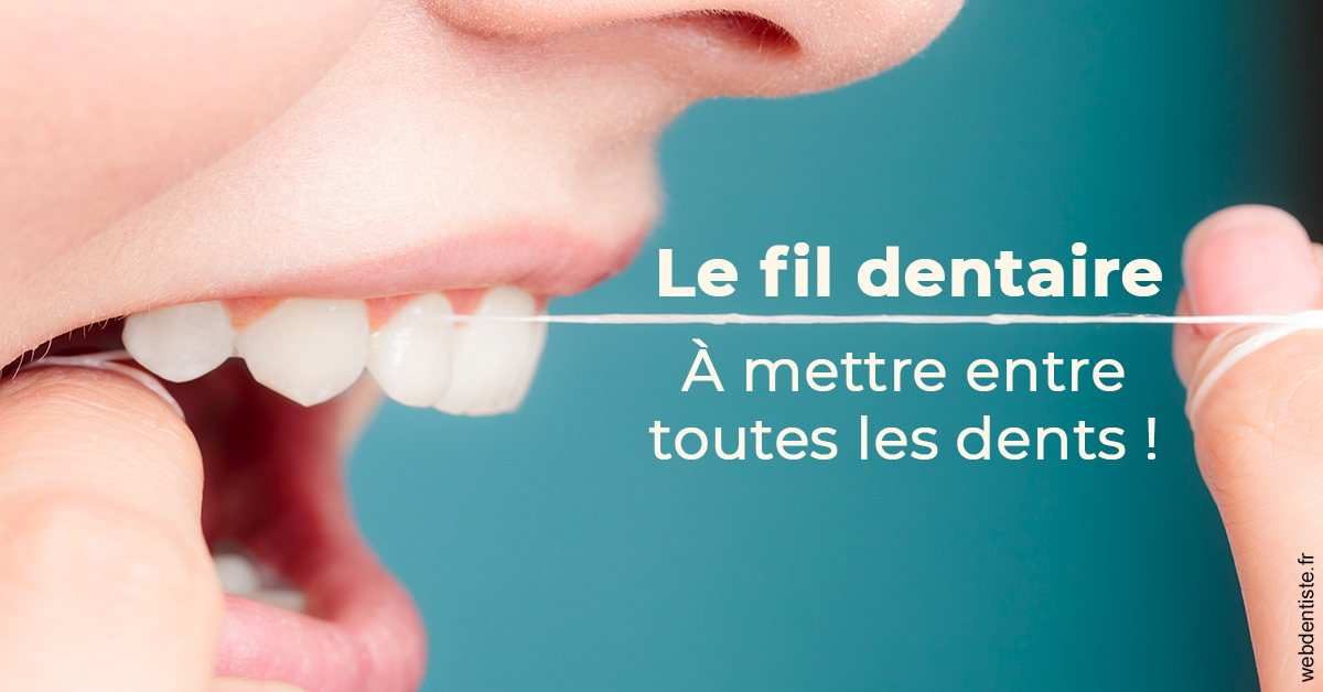 https://dr-teysseire-olivier.chirurgiens-dentistes.fr/Le fil dentaire 2
