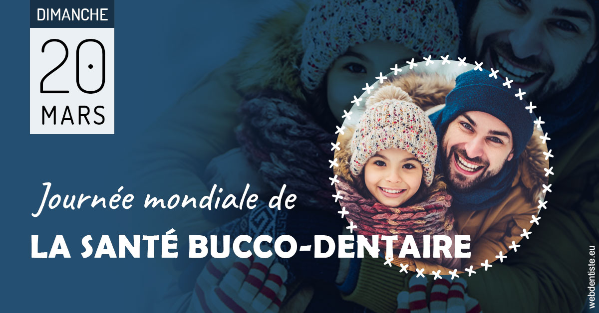 https://dr-teysseire-olivier.chirurgiens-dentistes.fr/La journée de la santé bucco-dentaire 1