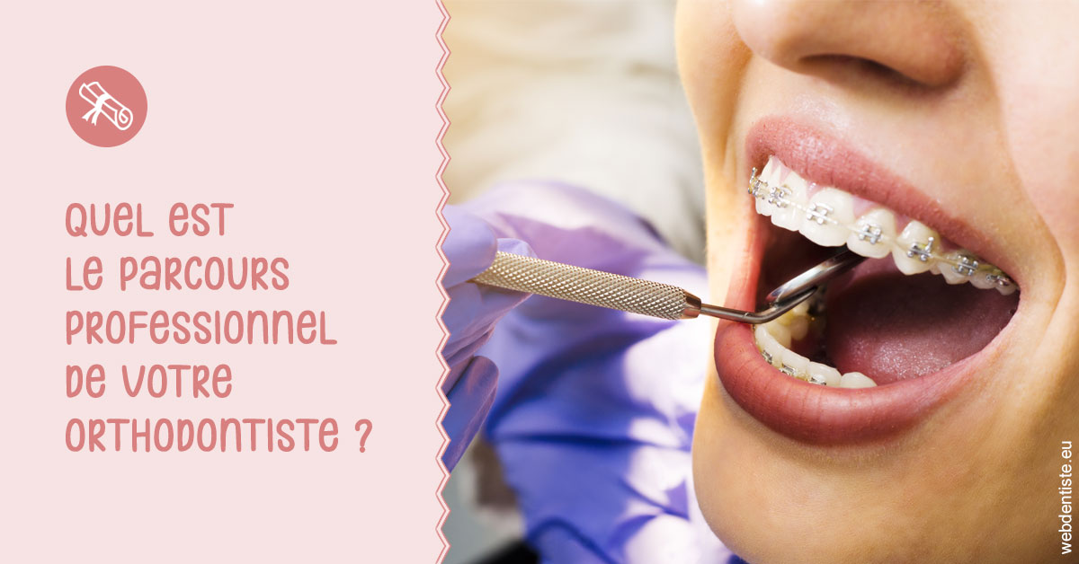 https://dr-teysseire-olivier.chirurgiens-dentistes.fr/Parcours professionnel ortho 1