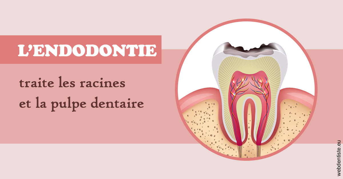 https://dr-teysseire-olivier.chirurgiens-dentistes.fr/L'endodontie 2