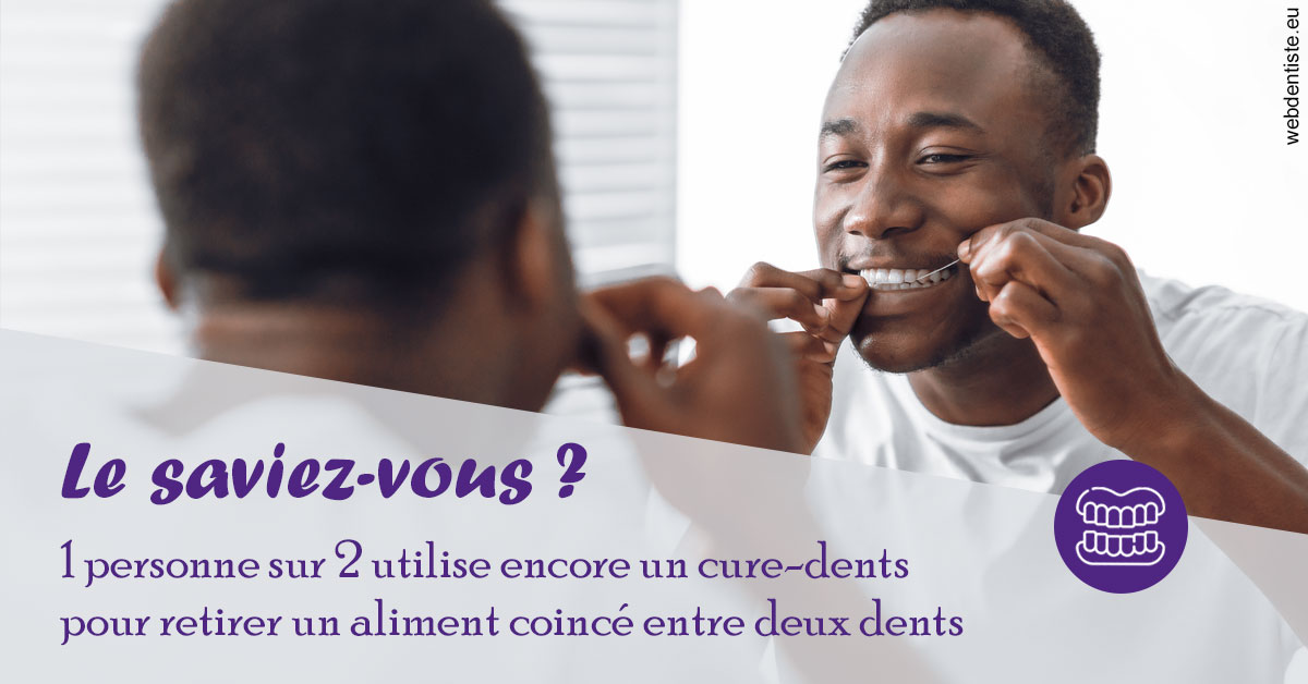 https://dr-teysseire-olivier.chirurgiens-dentistes.fr/Cure-dents 2