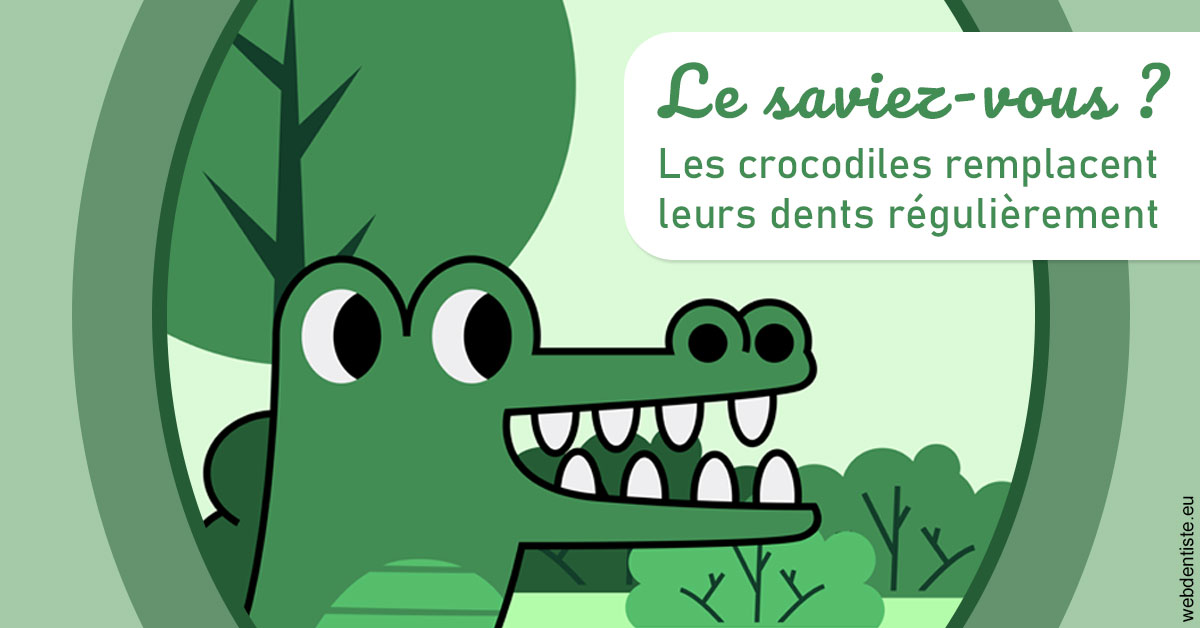 https://dr-teysseire-olivier.chirurgiens-dentistes.fr/Crocodiles 2
