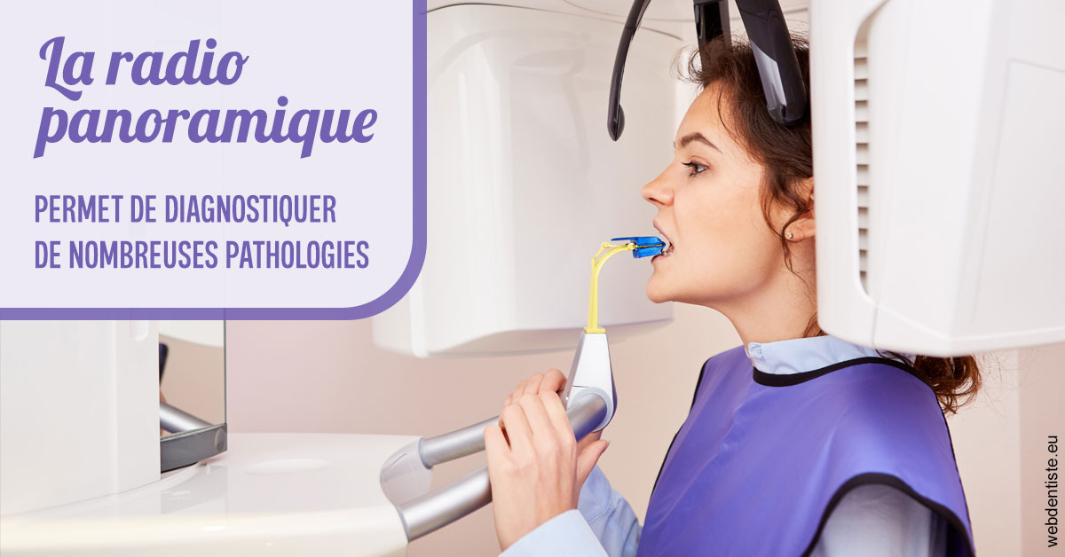 https://dr-teysseire-olivier.chirurgiens-dentistes.fr/L’examen radiologique panoramique 2